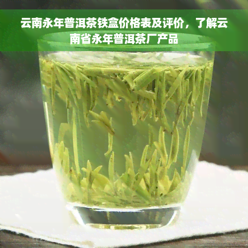 云南永年普洱茶铁盒价格表及评价，了解云南省永年普洱茶厂产品