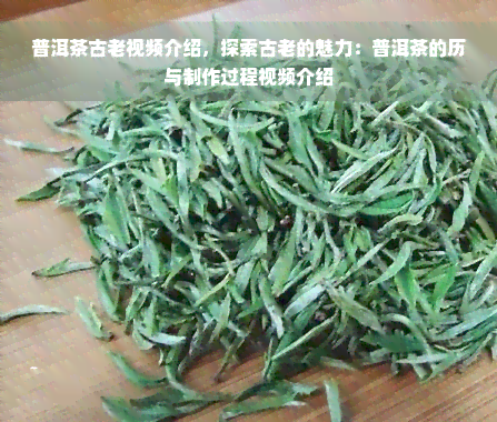 普洱茶古老视频介绍，探索古老的魅力：普洱茶的历与制作过程视频介绍