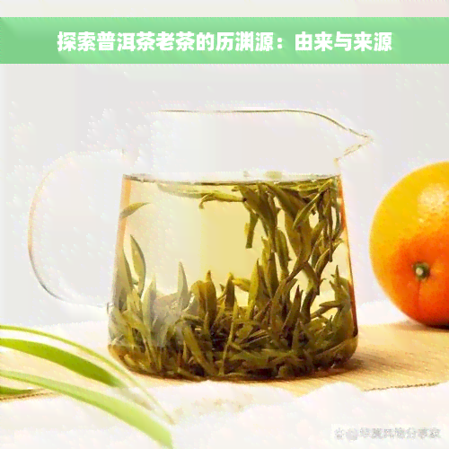 探索普洱茶老茶的历渊源：由来与来源