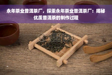 永年茶业普洱茶厂，探索永年茶业普洱茶厂：揭秘优质普洱茶的制作过程