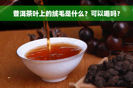 普洱茶叶上的绒毛是什么？可以喝吗？