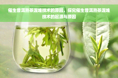 催生普洱熟茶渥堆技术的原因，探究催生普洱熟茶渥堆技术的起源与原因