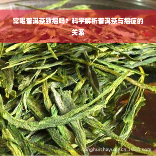 常喝普洱茶致癌吗？科学解析普洱茶与癌症的关系