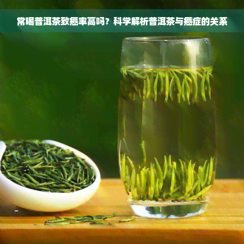 常喝普洱茶致癌率高吗？科学解析普洱茶与癌症的关系