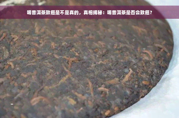 喝普洱茶致癌是不是真的，真相揭秘：喝普洱茶是否会致癌？