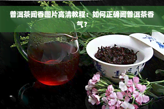 普洱茶闻香图片高清教程：如何正确闻普洱茶香气？