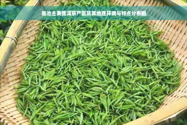 临沧主要普洱茶产区及其地理环境与特点分布图