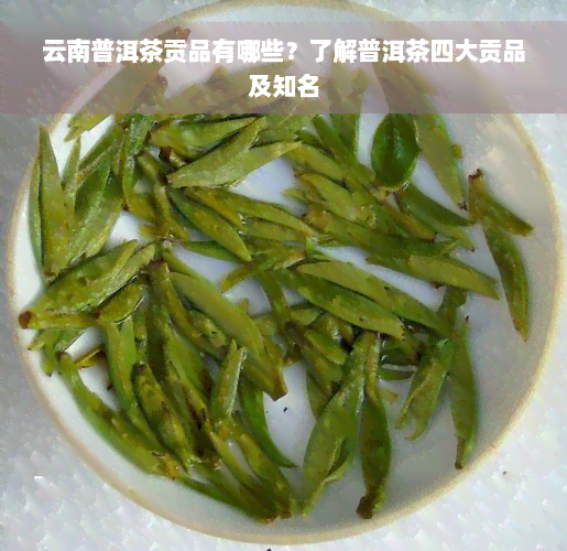 云南普洱茶贡品有哪些？了解普洱茶四大贡品及知名