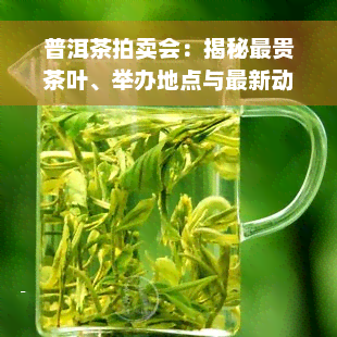 普洱茶拍卖会：揭秘最贵茶叶、举办地点与最新动态