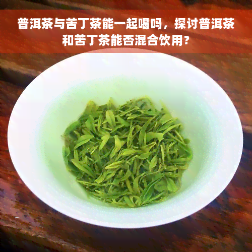 普洱茶与苦丁茶能一起喝吗，探讨普洱茶和苦丁茶能否混合饮用？