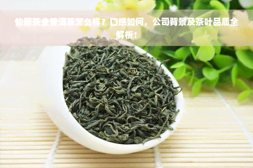 仙居茶业普洱茶怎么样？口感如何，公司背景及茶叶品质全解析！