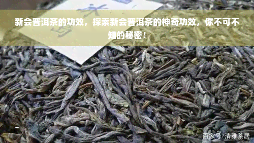 新会普洱茶的功效，探索新会普洱茶的神奇功效，你不可不知的秘密！