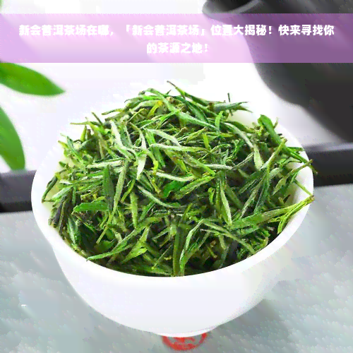 新会普洱茶场在哪，「新会普洱茶场」位置大揭秘！快来寻找你的茶源之地！