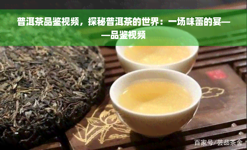 普洱茶品鉴视频，探秘普洱茶的世界：一场味蕾的宴——品鉴视频