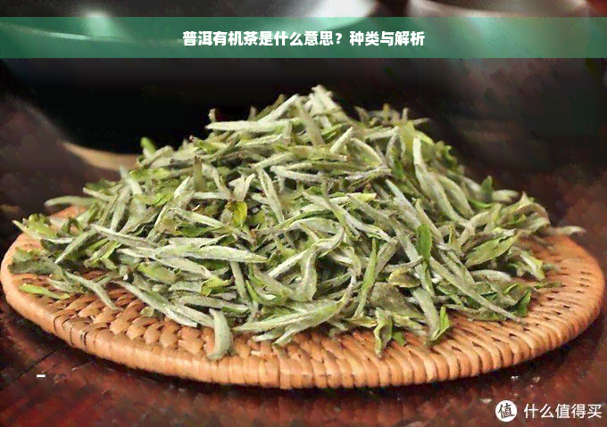 普洱有机茶是什么意思？种类与解析