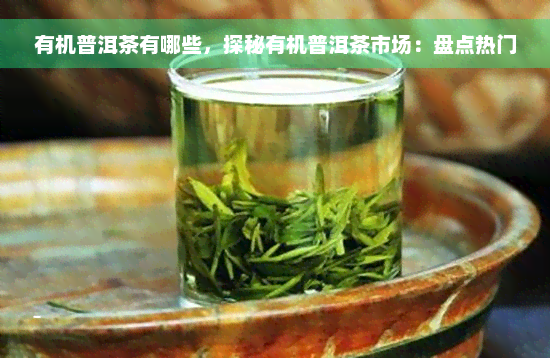 有机普洱茶有哪些，探秘有机普洱茶市场：盘点热门