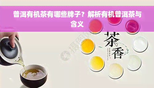 普洱有机茶有哪些牌子？解析有机普洱茶与含义