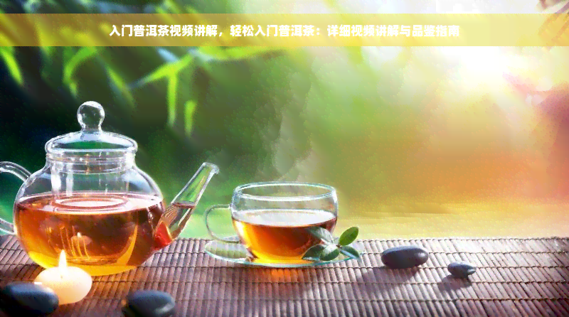 入门普洱茶视频讲解，轻松入门普洱茶：详细视频讲解与品鉴指南