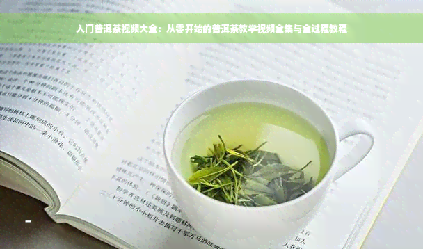 入门普洱茶视频大全：从零开始的普洱茶教学视频全集与全过程教程