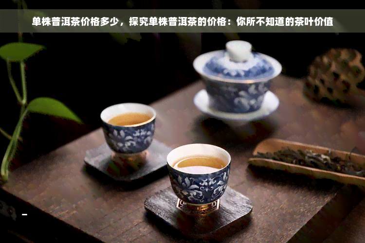 单株普洱茶价格多少，探究单株普洱茶的价格：你所不知道的茶叶价值