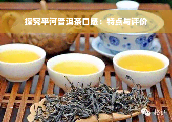 探究平河普洱茶口感：特点与评价