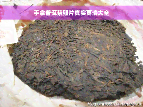 手拿普洱茶照片真实高清大全