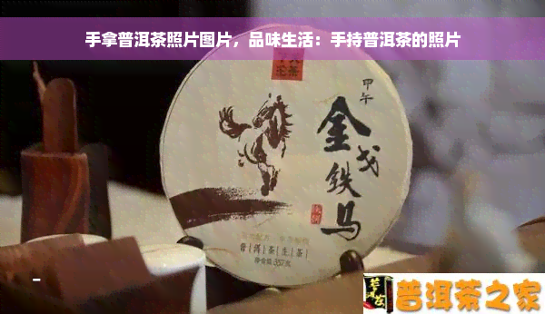 手拿普洱茶照片图片，品味生活：手持普洱茶的照片