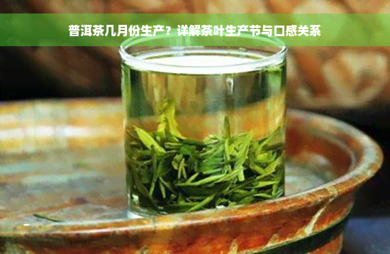 普洱茶几月份生产？详解茶叶生产节与口感关系