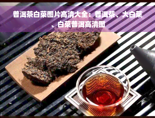 普洱茶白菜图片高清大全：普洱茶、大白菜、白菜普洱高清图