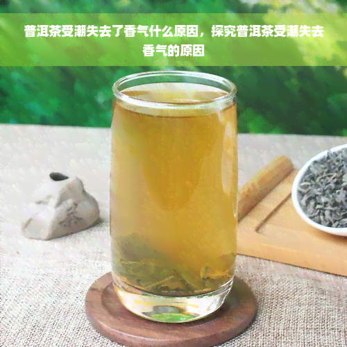 普洱茶受潮失去了香气什么原因，探究普洱茶受潮失去香气的原因