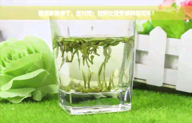 普洱茶受潮了，应对措：如何处理受潮的普洱茶？