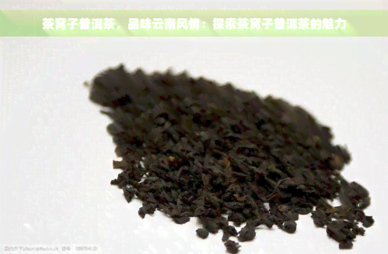 茶窝子普洱茶，品味云南风情：探索茶窝子普洱茶的魅力