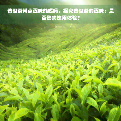 普洱茶带点涩味能喝吗，探究普洱茶的涩味：是否影响饮用体验？