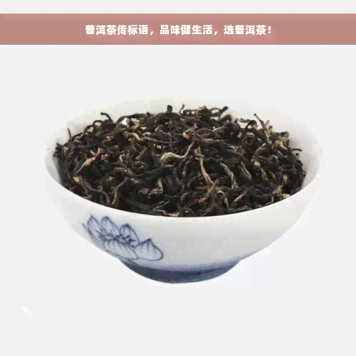 普洱茶传标语，品味健生活，选普洱茶！