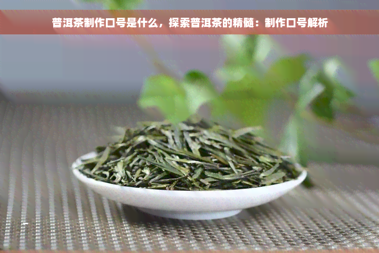 普洱茶制作口号是什么，探索普洱茶的精髓：制作口号解析