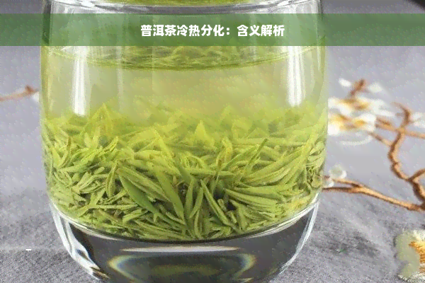 普洱茶冷热分化：含义解析