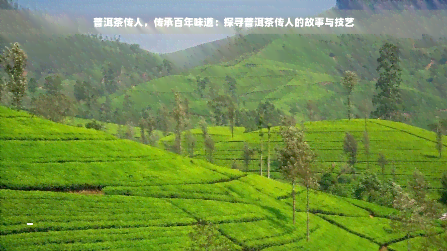 普洱茶传人，传承百年味道：探寻普洱茶传人的故事与技艺