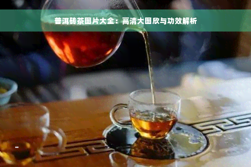 普洱砖茶图片大全：高清大图欣与功效解析