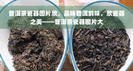 普洱茶瓷器图片欣，品味普洱韵味，欣瓷器之美——普洱茶瓷器图片大