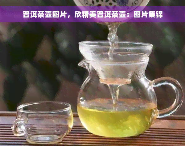 普洱茶壶图片，欣精美普洱茶壶：图片集锦