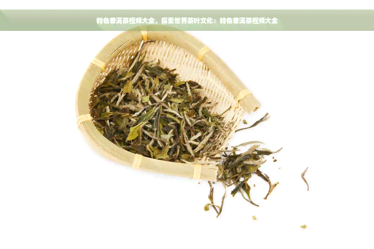 特色普洱茶视频大全，探索世界茶叶文化：特色普洱茶视频大全