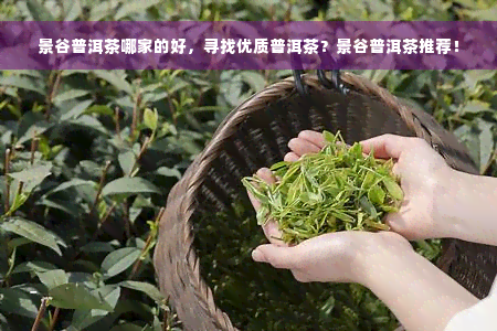 景谷普洱茶哪家的好，寻找优质普洱茶？景谷普洱茶推荐！