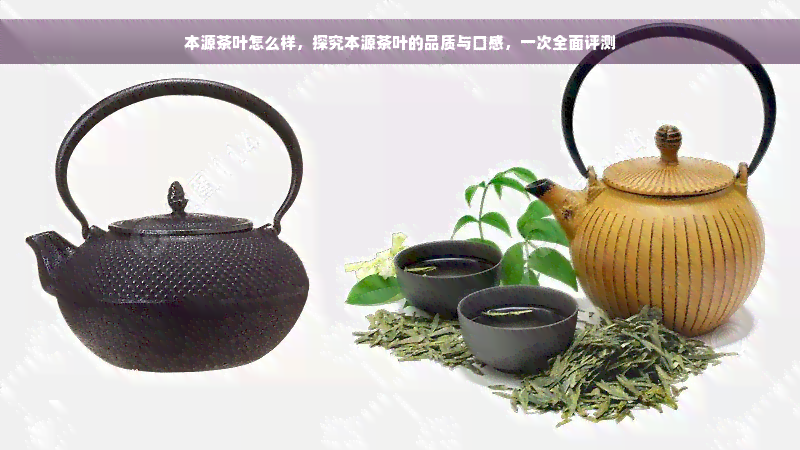 本源茶叶怎么样，探究本源茶叶的品质与口感，一次全面评测