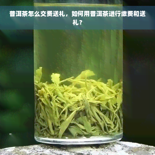 普洱茶怎么交费送礼，如何用普洱茶进行缴费和送礼？