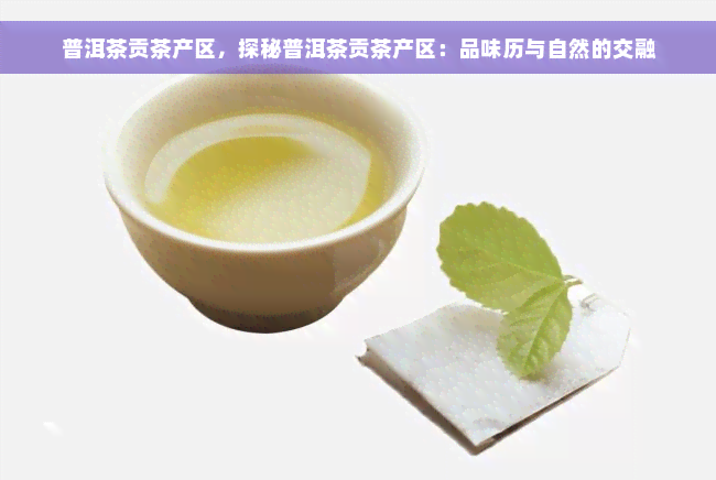 普洱茶贡茶产区，探秘普洱茶贡茶产区：品味历与自然的交融