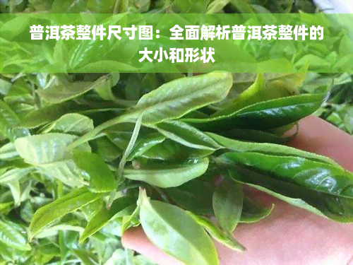 普洱茶整件尺寸图：全面解析普洱茶整件的大小和形状