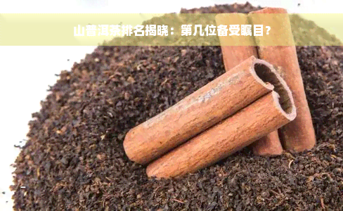 山普洱茶排名揭晓：第几位备受瞩目？