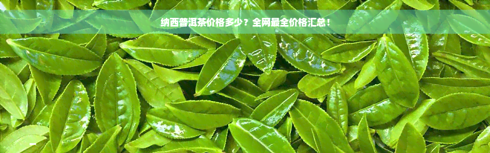 纳西普洱茶价格多少？全网最全价格汇总！