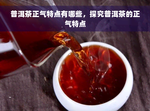 普洱茶正气特点有哪些，探究普洱茶的正气特点