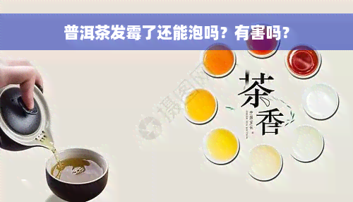 普洱茶发霉了还能泡吗？有害吗？